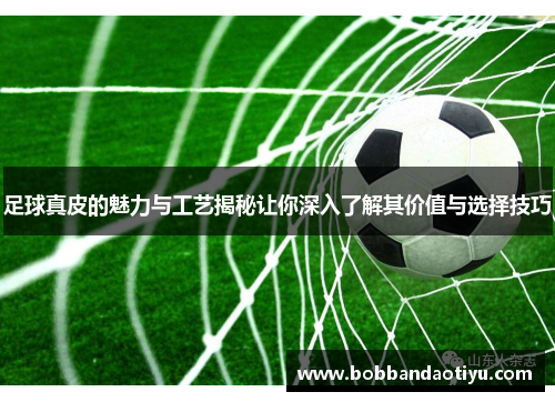 足球真皮的魅力与工艺揭秘让你深入了解其价值与选择技巧